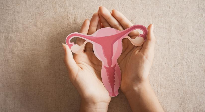 Görögdinnye méretűre nőhet ez a szervünk – Ez az emberi élet alapja