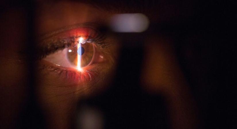 Agyboncolás közben ismerkedett meg a tudós pár, akik most elnyerték a tudományos Oscart