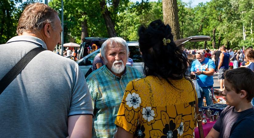 Ismét régi idők kincsei lepik el a Nagyerdőt
