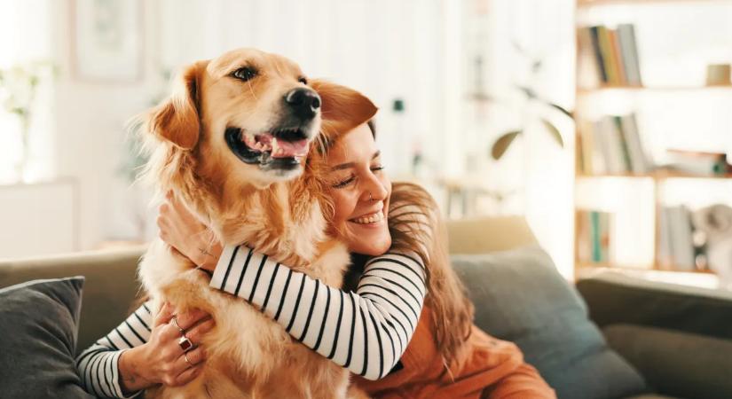 A kutya dönti el, ki az igazi gazdája – és nem biztos, hogy te vagy az
