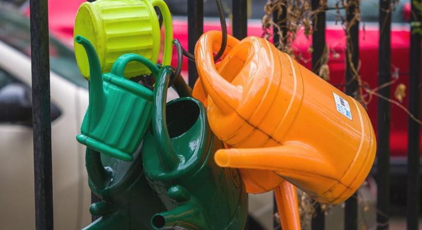 A legtöbben rosszul locsolják a füvet – ezért ég ki a pázsit minden nyáron