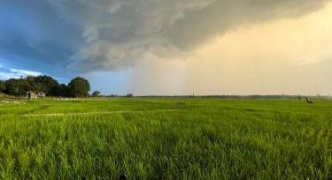 Mikor jön végre az eső a földekre?