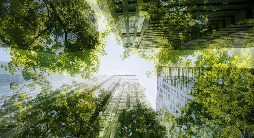 Emiatt fizetsz túl sokat a rezsiért: a hazai energiacég elárulta a trükköt, amivel rengeteget spórolhatsz