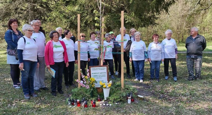 Hársfa őrzi a sportoló emlékét