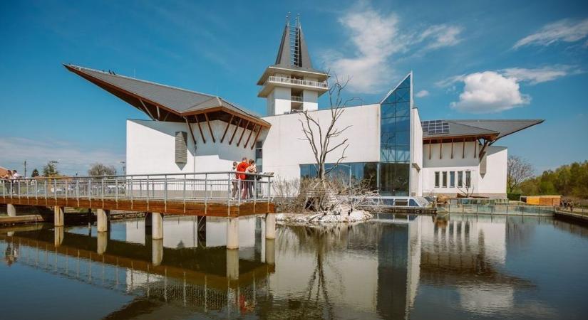 Új, háromméteres szobor fogadja a látogatókat a Tisza-tavi Ökocentrumnál