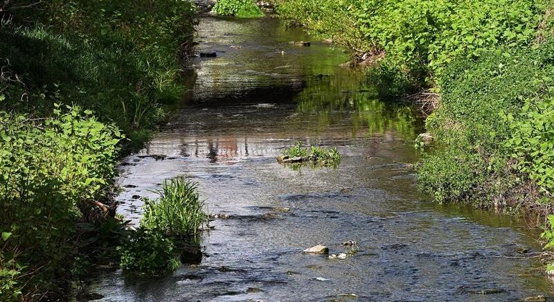 Megvizsgálták az Eger-patak habzását: nem találtak szennyeződést