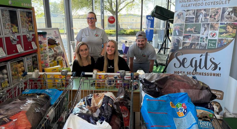 Mázsaszámra érkezett az adomány a menhelyi állatoknak
