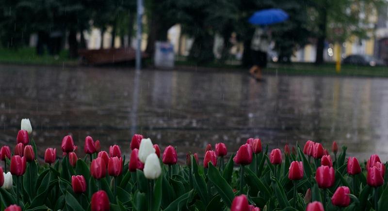 Jelentős lehűlés érkezik – Eső, erős szél és a hegyekben havazás várható
