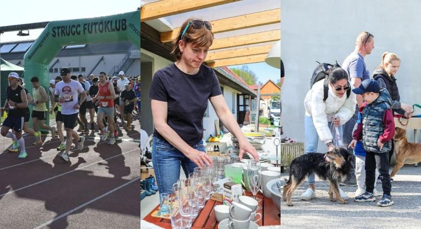 TOP 5 galéria: félmaraton, kincsvadászat, állati programok - Ilyen volt a hétvége képekben