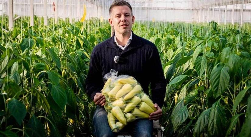 Németországban csillognak a szemek: Magyar Péter győzelme reményt ad a queer közösségnek