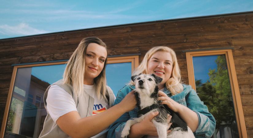 Közösségi kezdeményezéseket, esélyegyenlőséget és környezetvédelmi ügyeket karol fel a dm