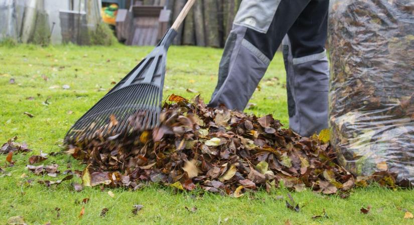 Rácsok helyett gereblye: közérdekű munka Tatán a város tisztaságáért