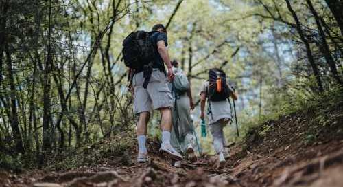 Felmérés: a magyarok fele havonta legalább egyszer kirándul tavasszal
