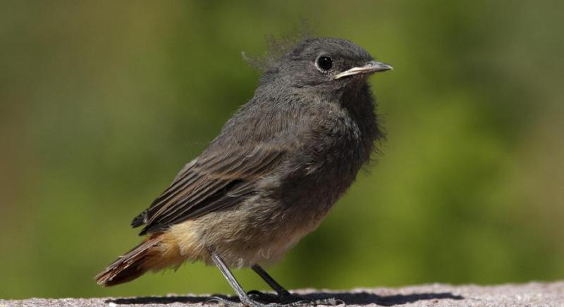 Fiókát találtam, mit tegyek?