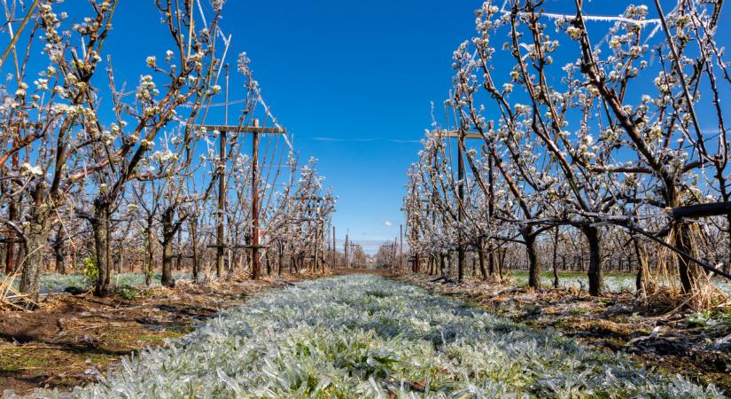 Nem akármilyen drágulás jöhet a magyar boltokban: erre jobb lesz felkészülni