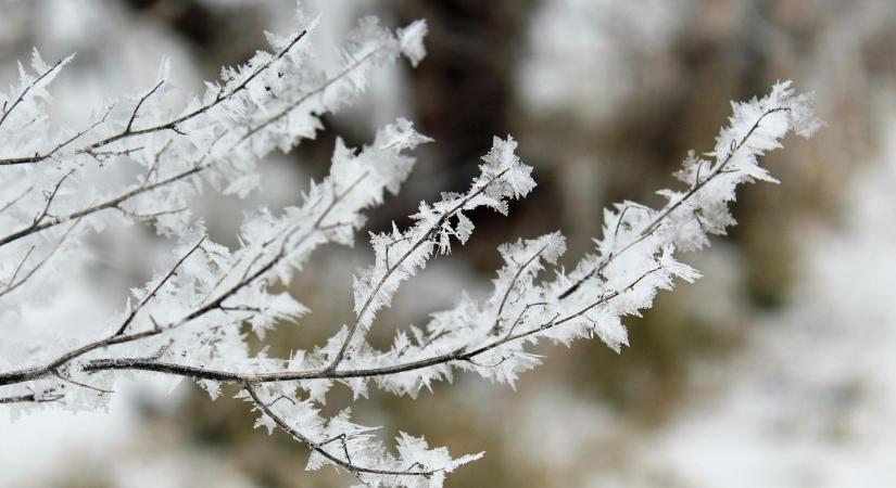 Ismét a természet az úr: lehet, hogy mindent elvitt az áprilisi fagy?