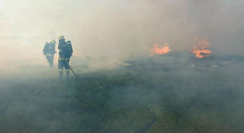 Hatalmas lángok csaptak fel Sárpilisnél (fotók)