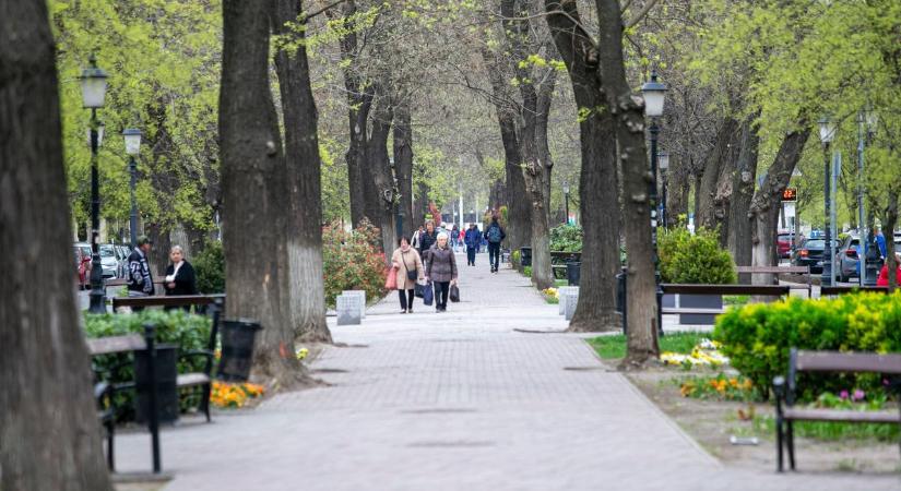 Kezdődik a zöldítés Kecskeméten: a Rákóczi út és a főtér is megújul