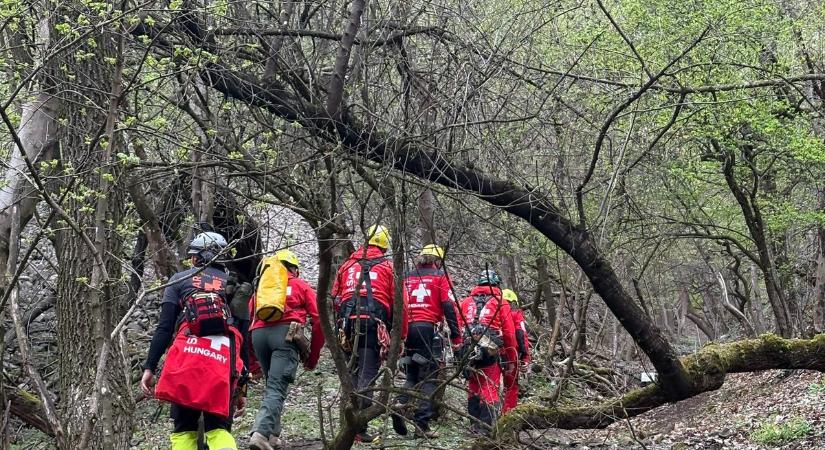 Egy rossz lépés a Börzsönyben és már jönnek is a mentők! De hogyan kerüld el a bajt a tavaszi túraszezonban?