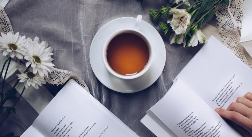 Tavaszi agytakarítás: csendes olvasópartit rendeznek Debrecenben