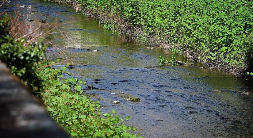 Rejtélyes habzás az Eger-patakon: Megszólalt az önkormányzat