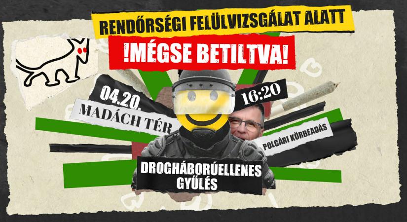 Franciaágyat a Madáchra!