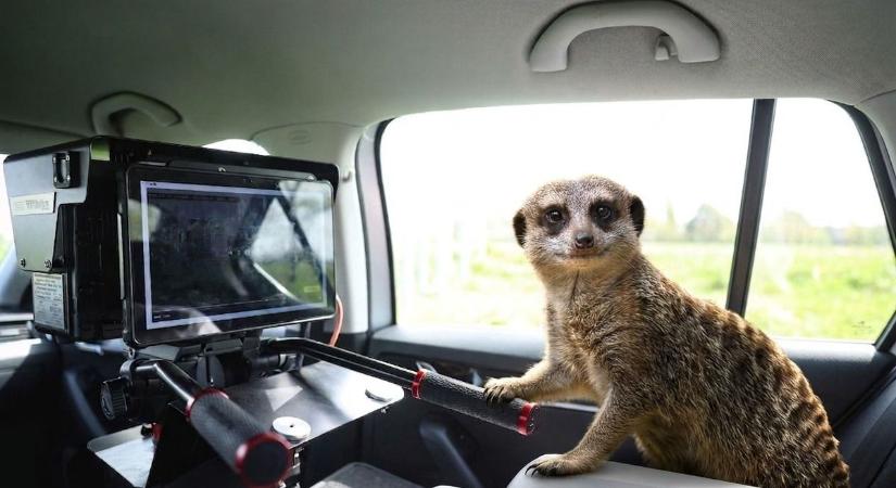 TOP 5 szellemes mondat, amivel a vasiak traffipaxra figyelmeztetnek