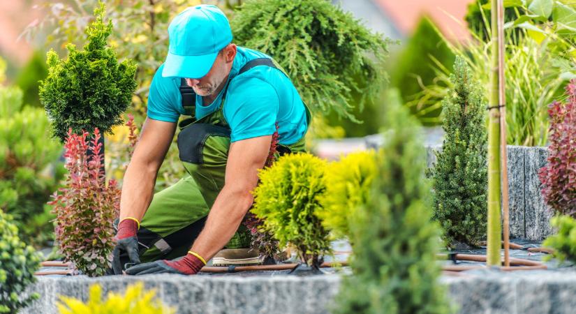 Kemény tavasz vár a kertes házak tulajdonosaira: még egy egyszerű fűnyírás is durva kiadást jelenthet 2026-ban