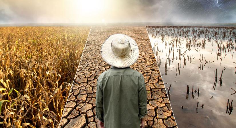 Borzasztó adatok érkeztek a klímaváltozásról: a márciusi hónap rossz híreket hozott