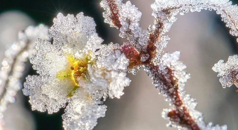 Szerdán és csütörtökön hajnalban többfelé lehet légköri fagy