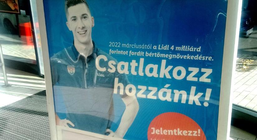 Több száz dolgozót vesz fel a Lidl, a rutinos targoncások és raktárosok bruttó 800 ezer felett is kereshetnek