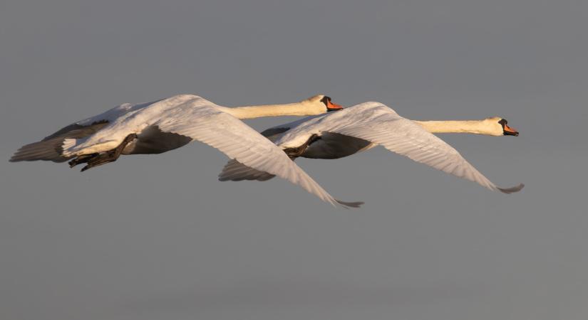 Elvágta a tavaszi idillt a hidegfront