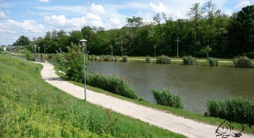Új életet nyer a főváros eliszaposodott tava