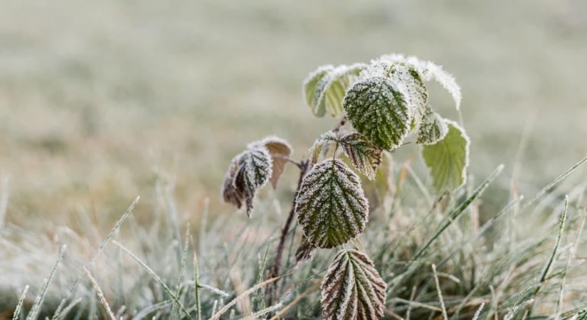 Meteorológia: szerdán és csütörtökön hajnalban többfelé lehet légköri fagy