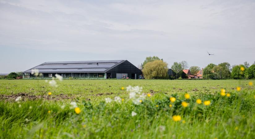 Tovább fokozza klímavédelmi törekvéseit az Edeka a tejiparban