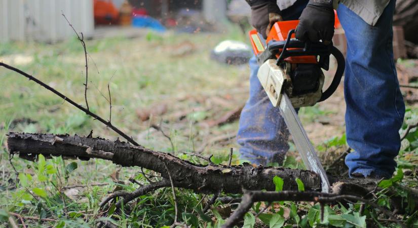 Láncfűrész karbantartás: ezt a pár dolgot ne hagyd ki