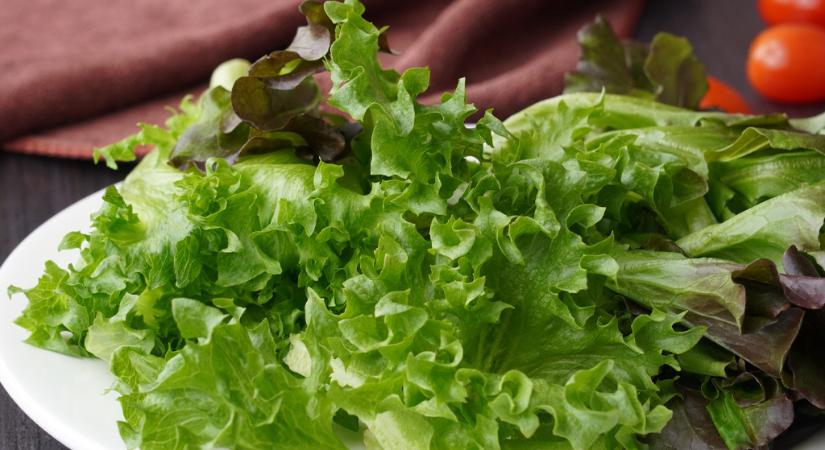 Spórolhatsz és mindig lesz friss salátád! Így neveld akár cserépben a konyhádban!