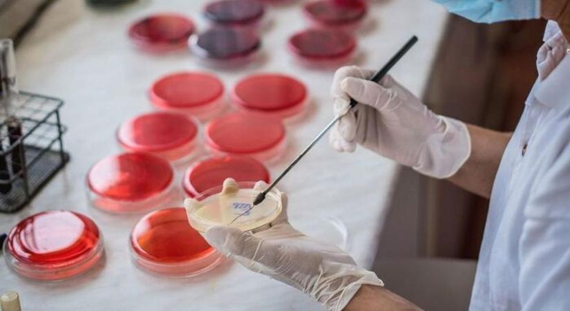 Vérzéses láz gyanúja miatt küldték egy szabolcsi kislány mintáit laboratóriumba