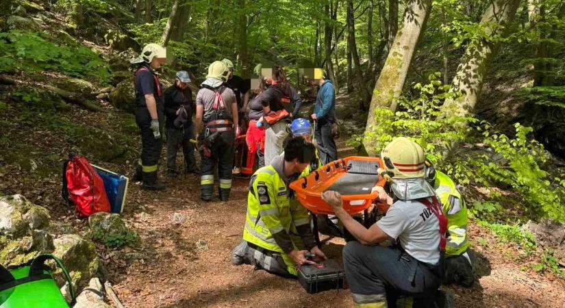 Idős asszony életét mentették meg a Pilisben – szörnyű, mi történt vele