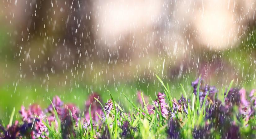 Milyen idő lesz holnap Szegeden? Változékony, záporos és szeles nap vár ránk