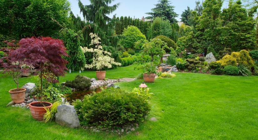 Júniusig felejtsd el ezt a kerti munkát – komoly büntetést kaphatsz érte