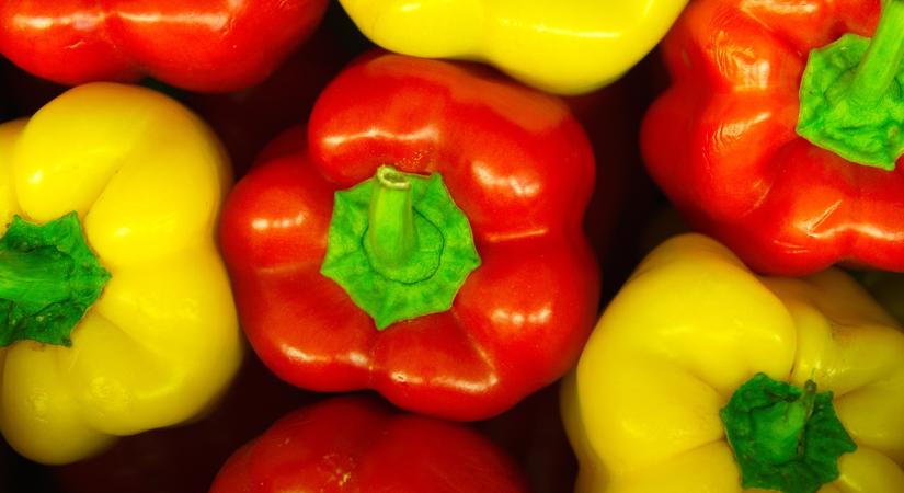 Vége a horroráraknak a paprikapiacon