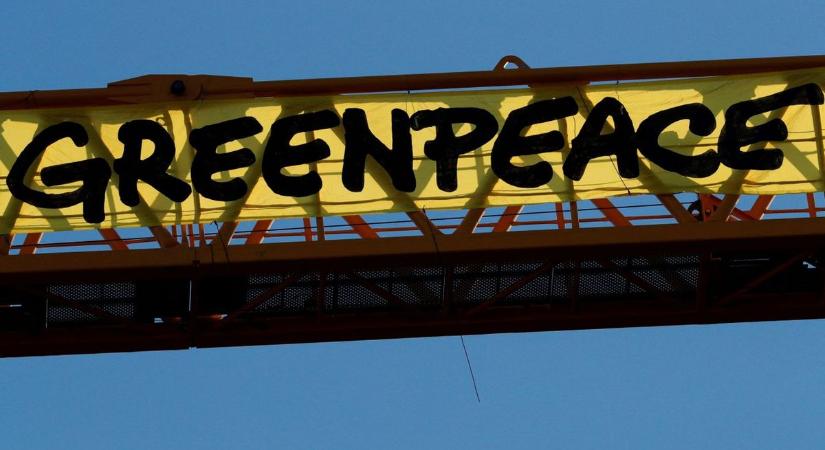 Te megbízol a Greenpeace-ben?