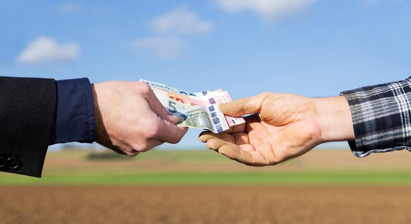 Küszöbön a magyar euró: Megszűnik a kényelem, jön a kíméletlen hatékonyság