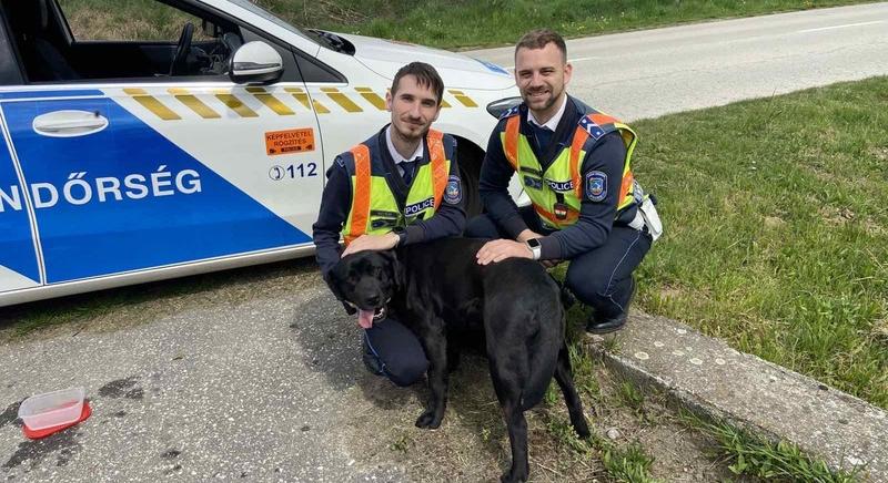 A rendőrök karjai közé szaladt a szökevény