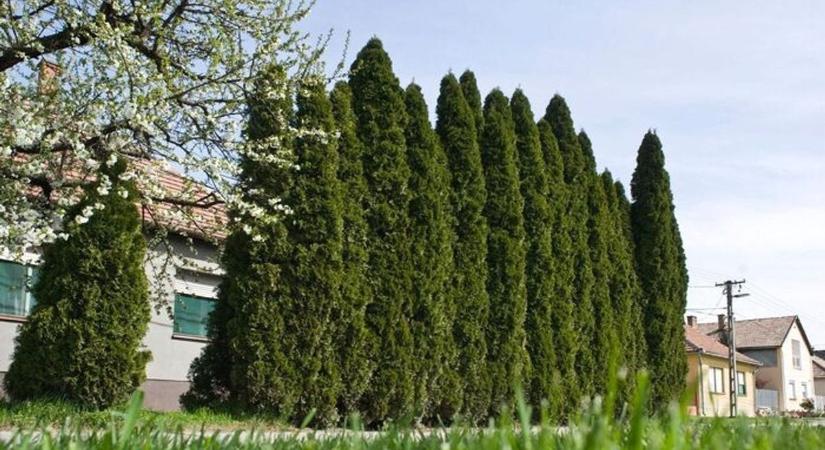 Kertvárosi káosz: életveszélyes utcák miatt fakadt ki olvasónk