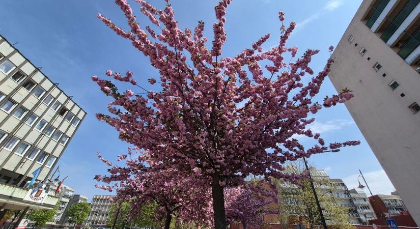 Esernyő holnap is legyen a táskádban! Valóban szeszélyes ez az április