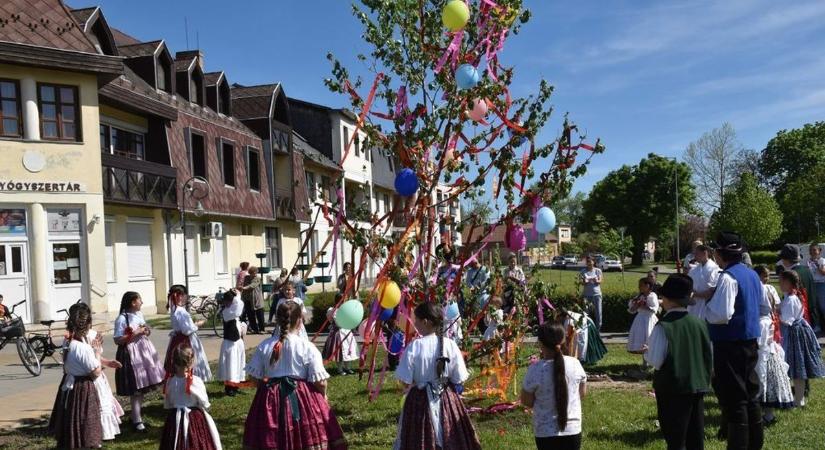 Legálisan és ingyen szerezhetik be a májusfának valót a szerelmes legények