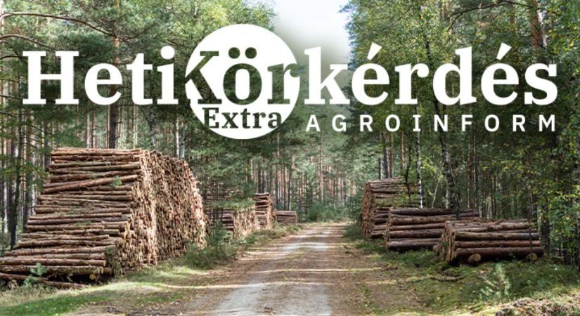 PIACI KÖRKÉP – gépek, technológiák a versenyképes erdőgazdálkodásért kiírt pályázathoz – Heti Körkérdés Extra