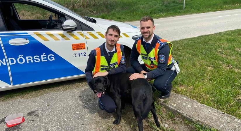 Nem mindennapi gyorshajtót füleltek le a Desedánál, még szerencse, hogy együttműködő volt